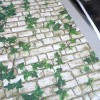 45cm Virginia Creeper Peel-Stick Wallpaper - Self Adhesive Wall Decals